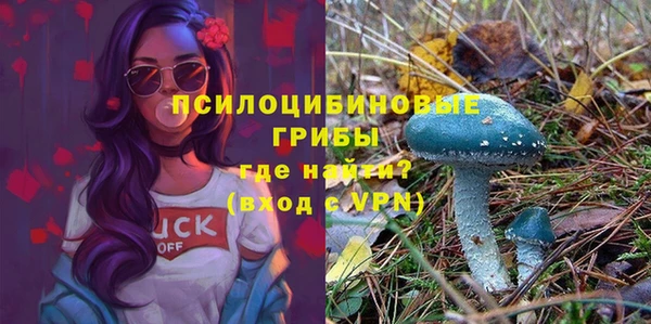 спайс Абдулино