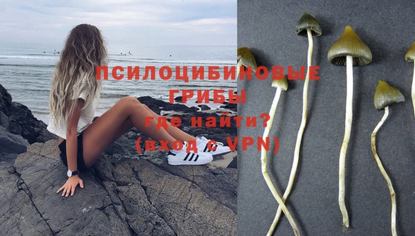 мяу мяу кристалл Ельня