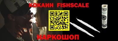 тгк Кингисепп