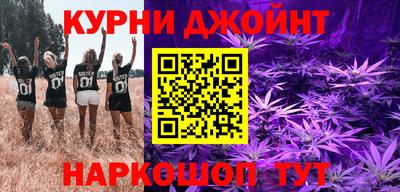 тгк Кингисепп