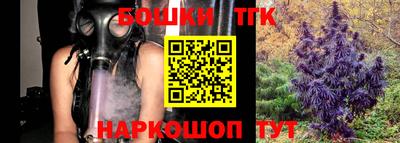 тгк Кингисепп