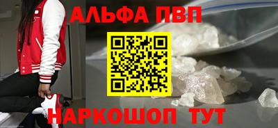 тгк Кингисепп