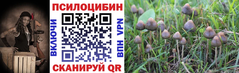 Псилоцибиновые грибы Cubensis  наркота  нарко площадка состав  Кызыл 