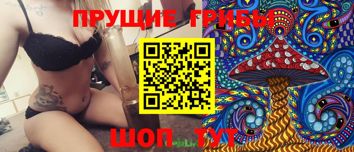Кызыл  Псилоцибиновые грибы Psilocybe  Вход с VPN 